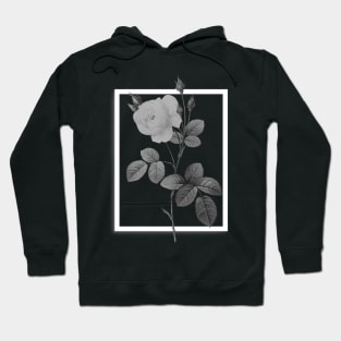 Mysterious rose Hoodie